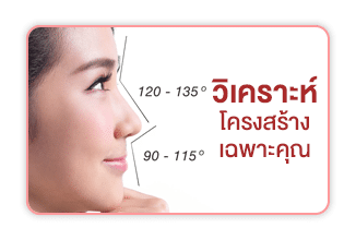 วิเคราะห์โครงสร้างจมูก