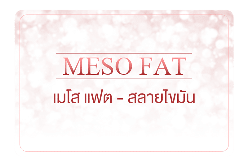 เมโสแฟต สลายไขมัน – Meso Fat