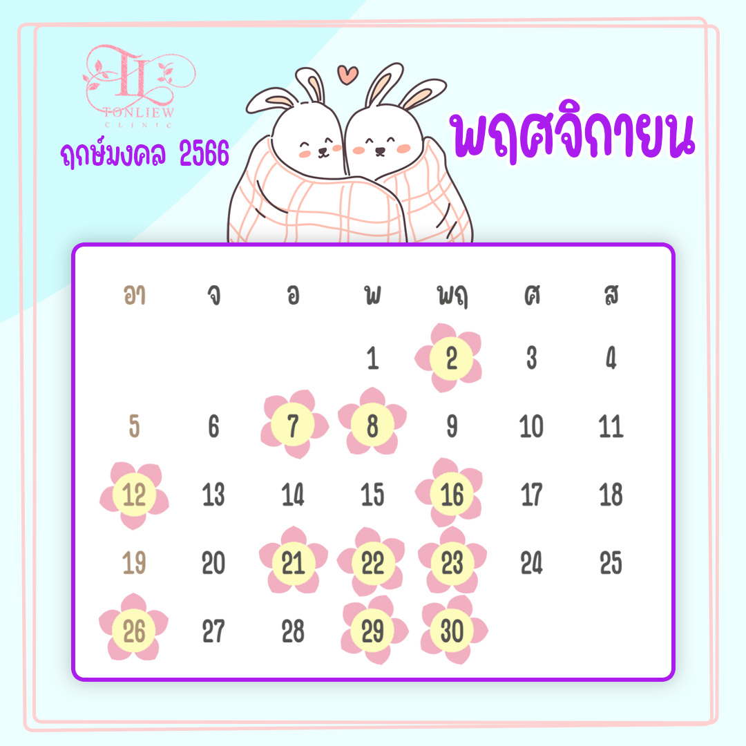 ฤกษ์ศัลยกรรม พฤศจิกายนปี2566